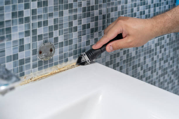 Best Mold Damage Repair  in Manassas Park, VA